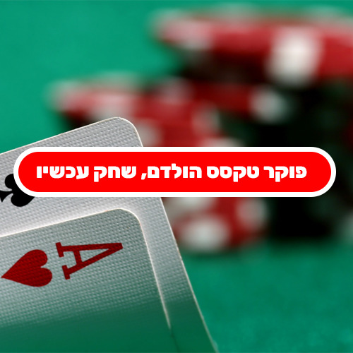פוקר טקסס הולדם